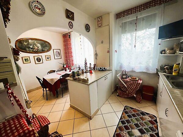 Zsigmondy Vilmos, Dorog képe