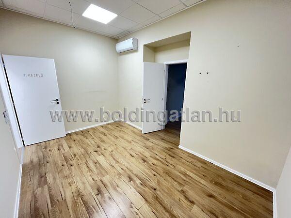 Dózsa György, Kaposvár 2. képe