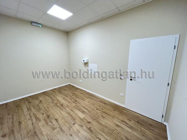 Dózsa György, Kaposvár 3. képe