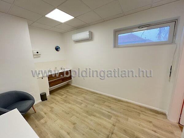 Dózsa György, Kaposvár képe