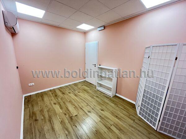 Dózsa György, Kaposvár képe