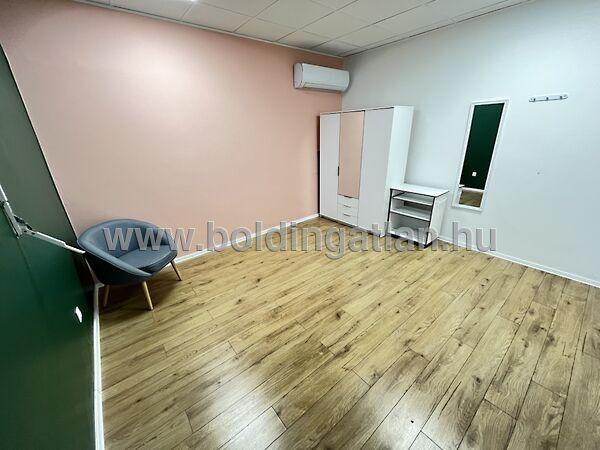 Dózsa György, Kaposvár 2. képe