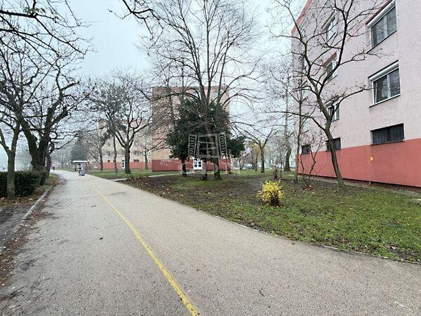 Prohászka Ottokár, Székesfehérvár képe