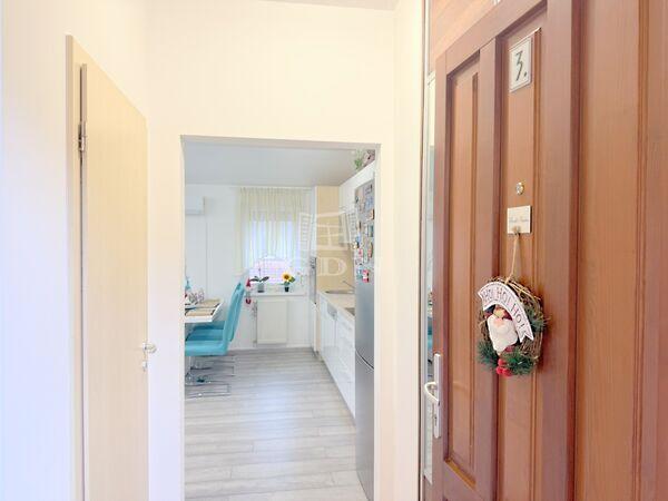 Kék Madár, Zalaegerszeg 3. képe