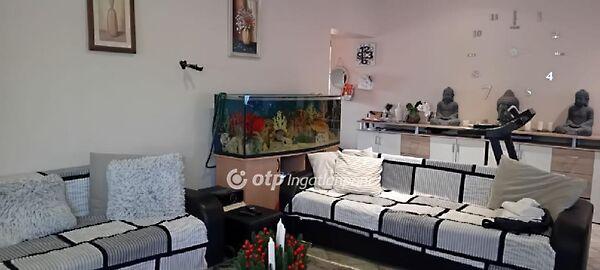 Sárszentmihály 2. képe