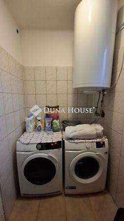 Nyár, Őrbottyán 3. képe