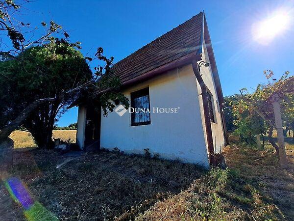 Szőlő, Baksa képe