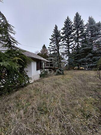 Dunakeszi komp, Szigetmonostor képe