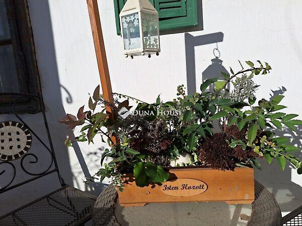 Szabadság, Alcsútdoboz 2. képe