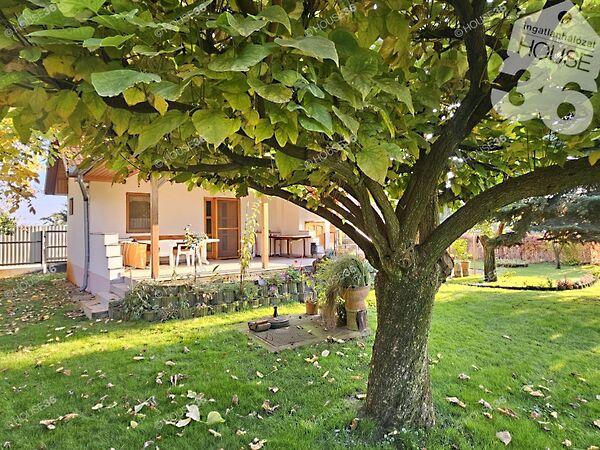 Kiskunfélegyháza 2. képe