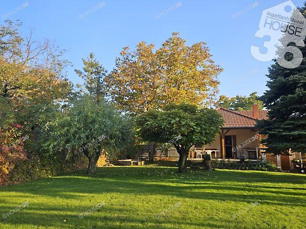 Kiskunfélegyháza 3. képe