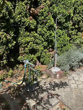 Pál, Ábrahámhegy 2. képe