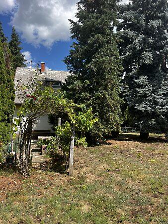 Pál, Ábrahámhegy 3. képe