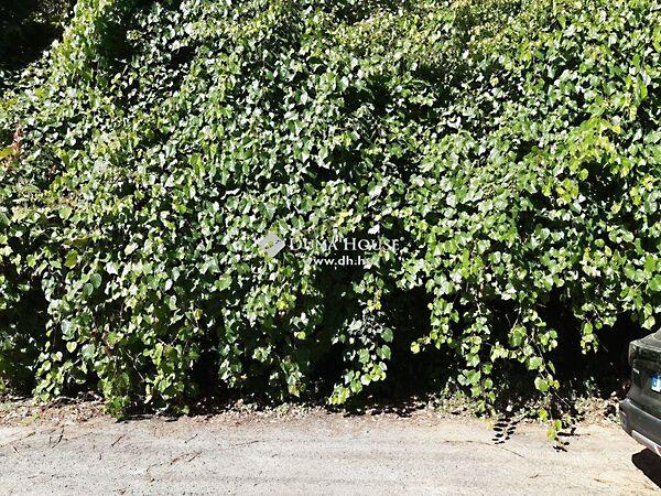 Kismélyvölgy, Pécs 2. képe