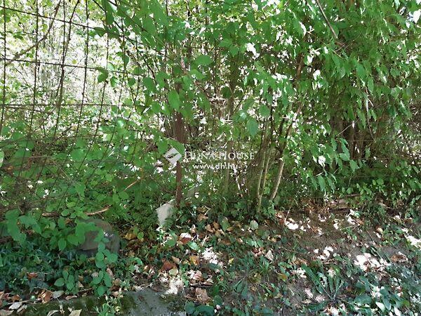 Kismélyvölgy, Pécs 3. képe