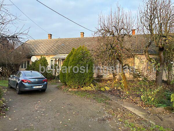 Ököritófülpös képe