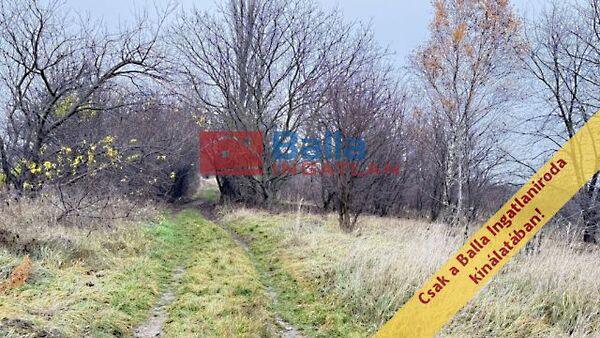 Kopolya, Budapest, XVII. kerület 2. képe