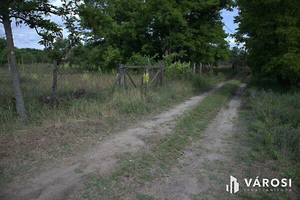 Sándorfalva 2. képe