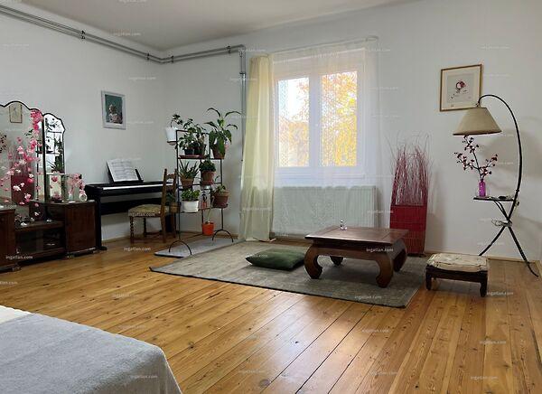 Rózsa, Siófok 2. képe