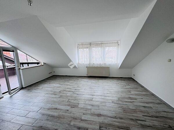 Páfrány, Pécs 3. képe