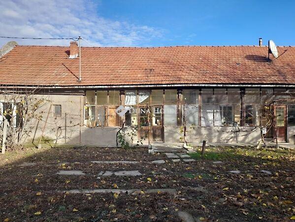 Békési, Békéscsaba 2. képe