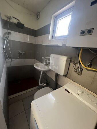 Hársfa, Szigethalom 2. képe