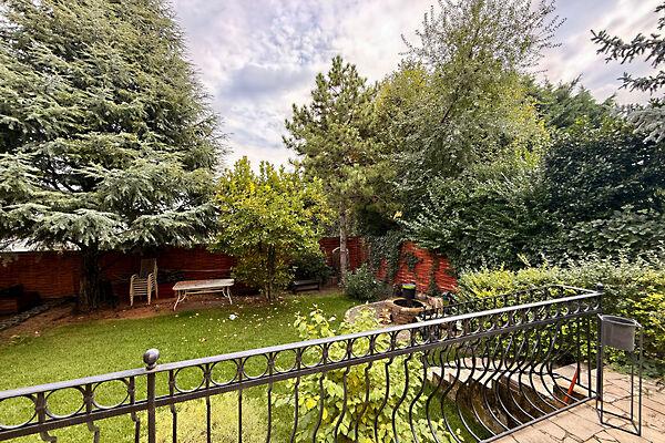 Kormorán , Üröm 3. képe