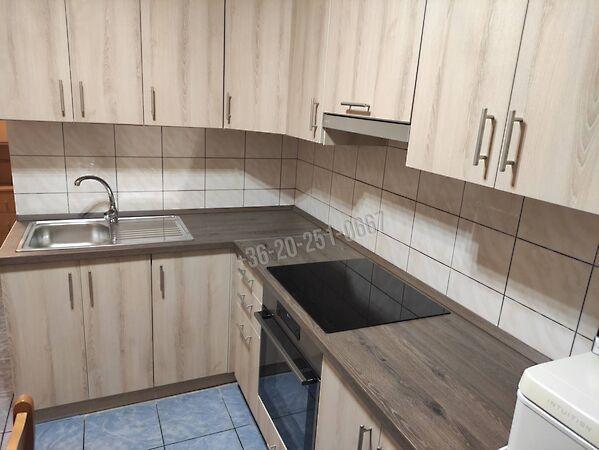 Horváth Kázmér, Mohács 2. képe