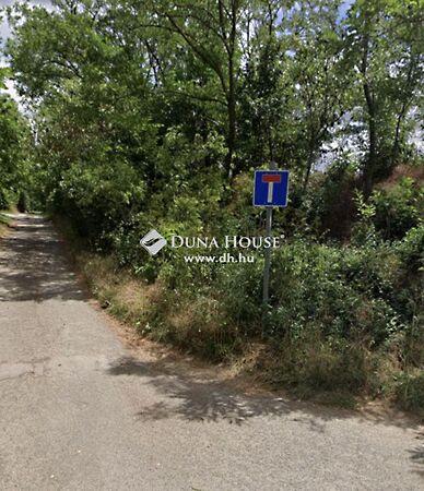 Guvno, Kökény 2. képe