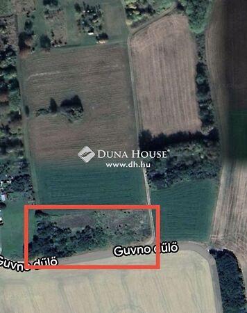 Guvno, Kökény képe