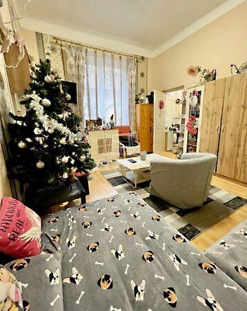 Diószegi Sámuel, Budapest, VIII. kerület képe