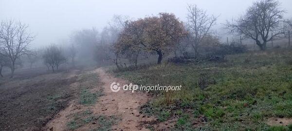 Székesfehérvár képe