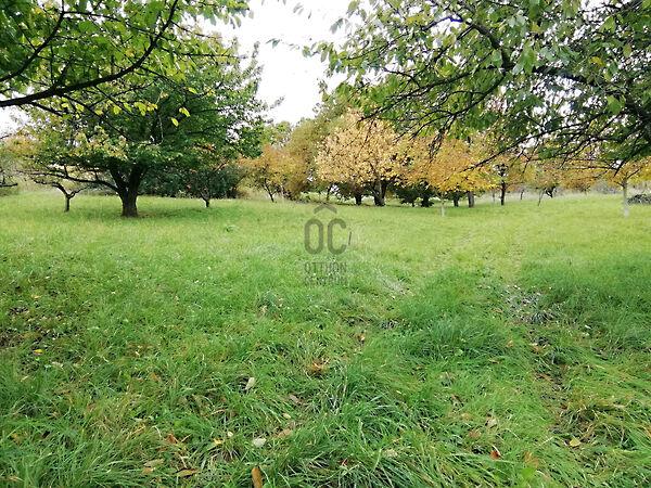 Zalaegerszeg 2. képe