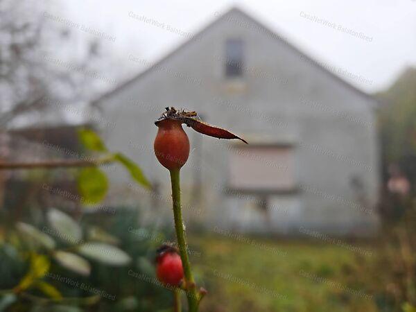 Balatonfüred 2. képe