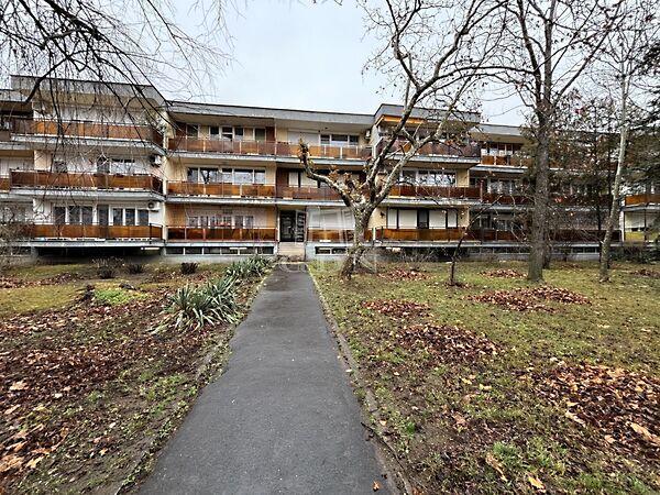 Kiváló, Vecsés képe