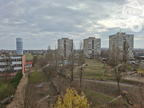 Holló László, Kiskunfélegyháza képe