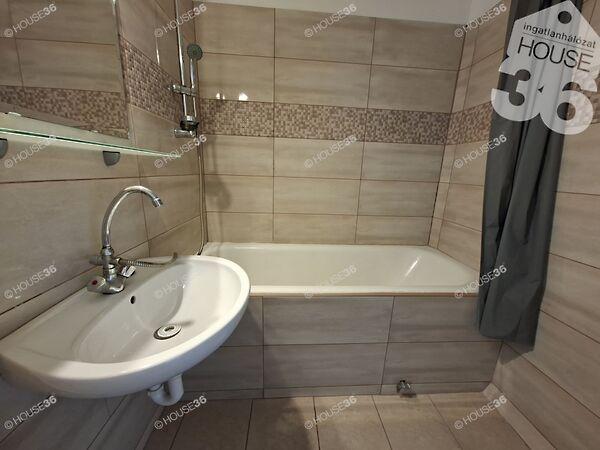 Holló László, Kiskunfélegyháza 2. képe