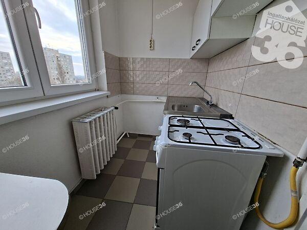 Holló László, Kiskunfélegyháza 3. képe