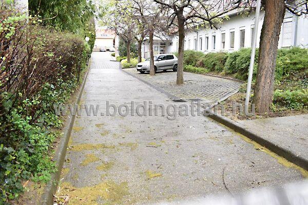 Endresz György, Pécs 2. képe