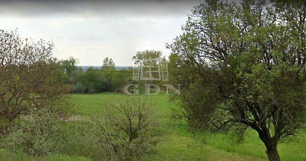 Tópart, Velence 2. képe