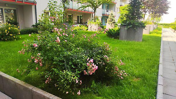 Budapest, XIII. kerület 3. képe