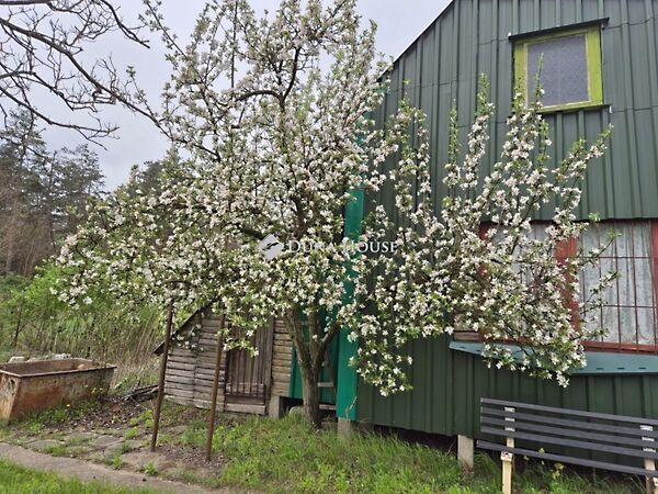 Duna, Vértesszőlős képe