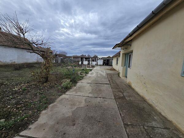 Pozsonyi, Madaras 3. képe