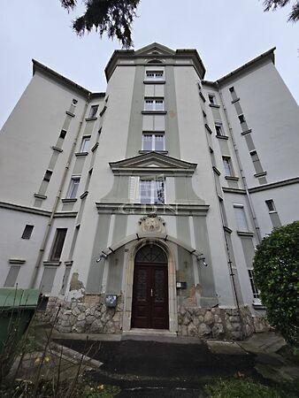 Petőfi, Pécs képe