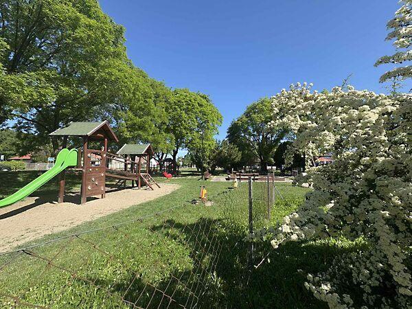 Gábor Áron, Kiskunlacháza 2. képe