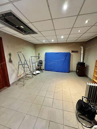 Dunaharaszti 2. képe