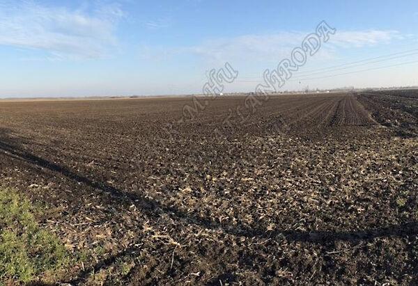 40,08 Aranykorona, 1,6493 ha szántó, Óföldeák képe