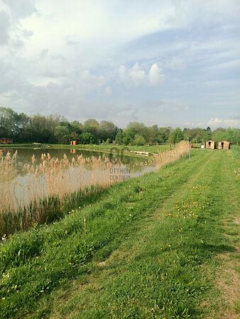 Pécsvárad 3. képe