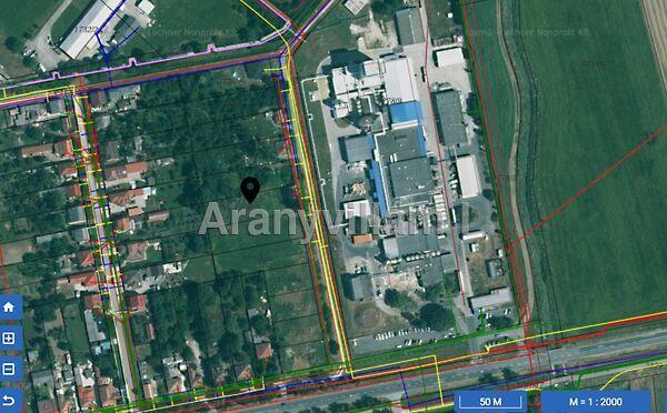 Virág, Csorna 2. képe