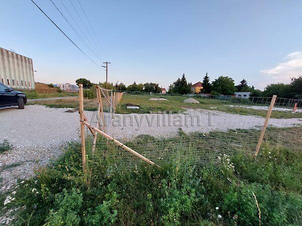 Virág, Csorna 3. képe